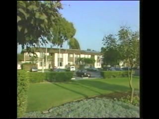 Caught From Behind IV Wicked Gals - 1985