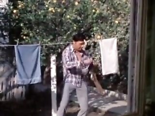 Fantasm AKA World of Sexual Fantasy (1976)