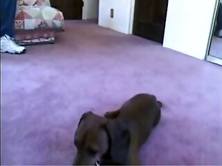 Schlampen In Hitze - 2